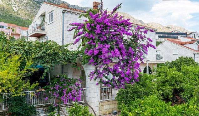 Apartments Husanovic Mokošica Cameră foto
